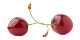 logo-fruit-Babig-Mamig-Free